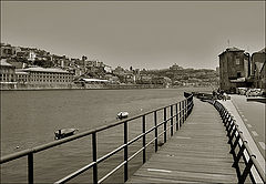 photo "Let's walk again#2"