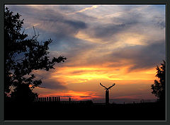 photo "rise"