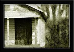 фото "Old Shack"