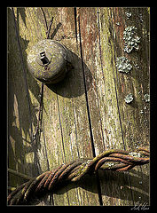 photo "Electrification"