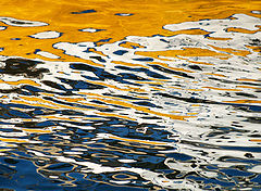 фото "Reflection"