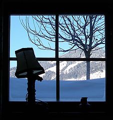 photo "Window"