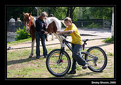 photo "Iron horse & live horse"