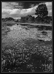 photo "***"