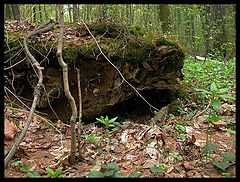 photo "Den"