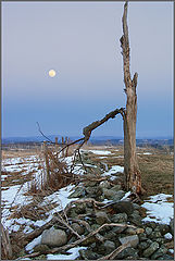 фото "Twilight"
