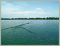 фото "make a splash"