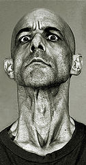 фото "the neck"