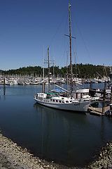 photo "A Sailor's Dream"