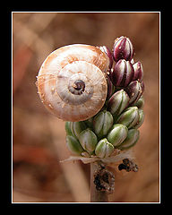 photo "*@*"