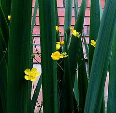фото "..."