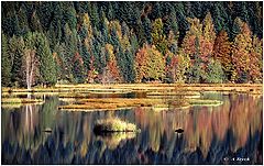 фото "Litsbach"