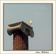 photo "Column (" Former greatness ")"