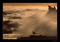 photo "Storm in the sea"