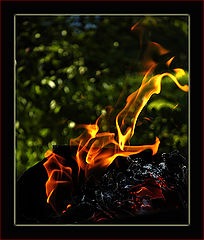 photo "Games With Fire"
