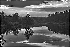 photo "untitled"