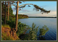 фото "Вечерняя озерная картинка с сосной"