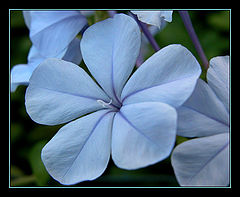 photo "*#*"
