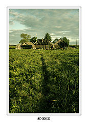 photo "***"