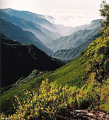 фото "Nature's profundity"