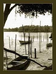 photo "Old boats..."