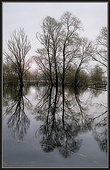 фото "отражения"