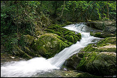 photo "Krim"
