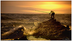 фото "The rock"