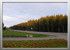 фото "Дорога домой в Москву"