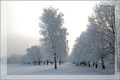photo "***"