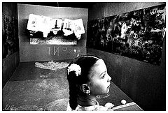 photo "Shooting gallery"
