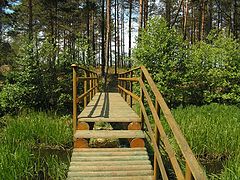 photo "Look into the tunnel"