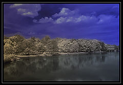 фото "the river of dream 2"