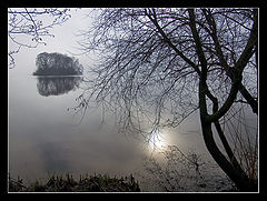 photo "New Morning"