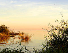 фото "...."