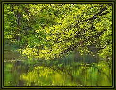 photo "Paints of summer #2"