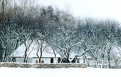 photo "the Lovely Winter"