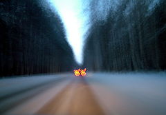фото "Гони!"