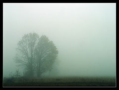 фото "*"