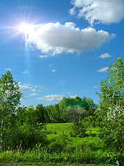 photo "*"