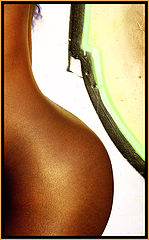 photo "Curve"
