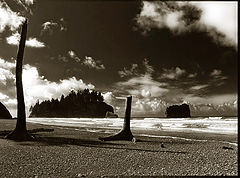 photo "Half a World Away"