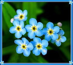 photo "Untitled photo"