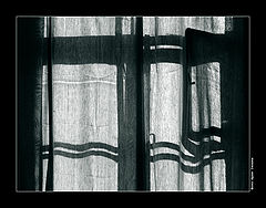 photo "Shadows"