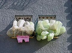 photo "Protection"