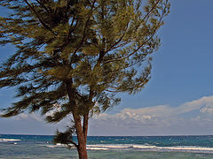 фото "Fresh Winds"
