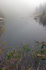photo "Covered by Mist"