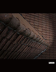 photo "Sceletor"