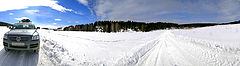 photo "Untitled photo"