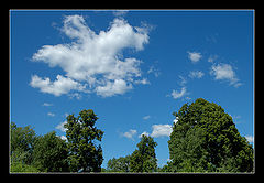 фото "!"